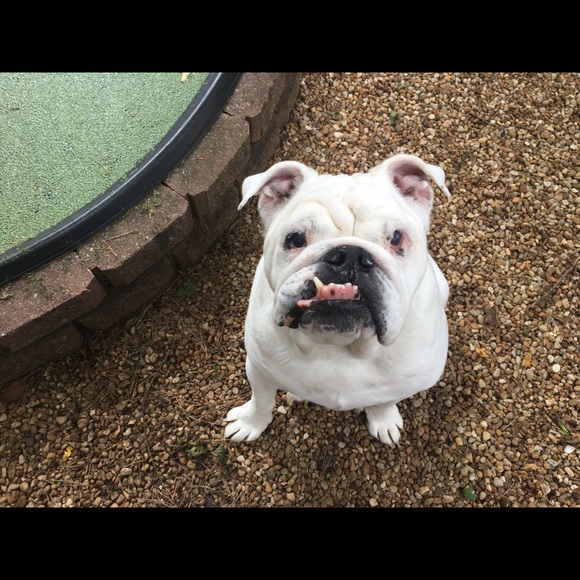 Meet your Posher, Jessi - Picture 13 of 13